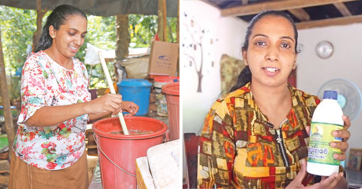 “රටටම වටිනා කාබනික දියර පොහොර නිෂ්පාදනය කරන සෞන්දර්ය උපාධිධාරිනිය” හර්ෂණි වික්රමසිංහ